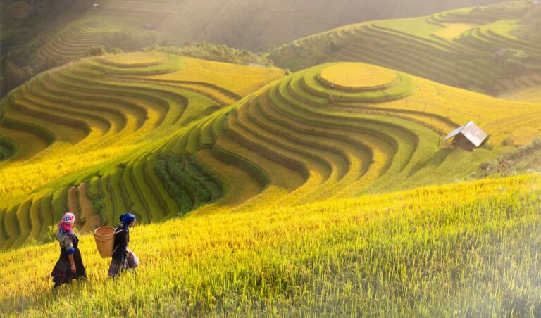 Tour 4 ngày 3 đêm Hạ Long – Ninh Bình